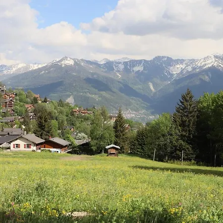 Chalet L'etoile -